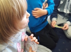 45635510_554856304962752_7916386073905725440_n-003