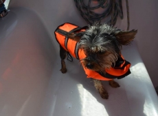 wakacyjna_wyprawa_stojedynki_024