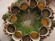 267679676_233781242224430_264042431806763855_n