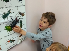 60278971_1470594563082176_4187327744750649344_n-kopia-002