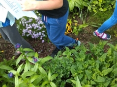 60333191_376307636561030_4730867323622129664_n-kopia-003