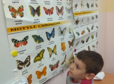 60397738_290650241819503_155355121784455168_n-kopia-007