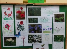 60593297_323370321685817_8956539003088142336_n-kopia-008