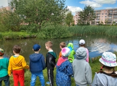 60659169_438229556734841_1260353544511291392_n-kopia-010