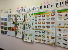 60810811_352762212046103_192502044819456000_n-kopia-013