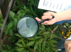 60857745_470393353701510_651953255026262016_n-kopia-014