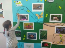 60867541_368657127331974_4028431980776390656_n-kopia-016