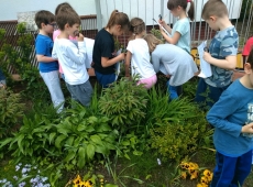 60881698_1118793068323571_6224657722265042944_n-019