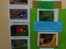 61009148_1140321869503417_3484636327364788224_n-kopia-022