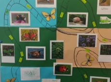 61067049_735445893539268_5857713304385880064_n-kopia-024