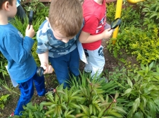 61087240_1033222366877610_7474261771088297984_n-026