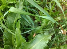 61287473_568282167030261_5331728704257130496_n-029