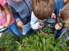 61388460_2379148138791671_3469587908715872256_n-032