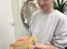 zajecia_biologiczne_009