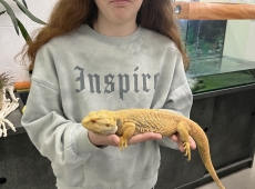 zajecia_biologiczne_011