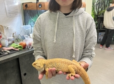 zajecia_biologiczne_019