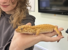 zajecia_biologiczne_024