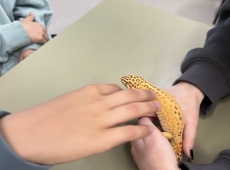 zajecia_biologiczne_025