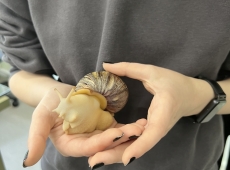 zajecia_biologiczne_026