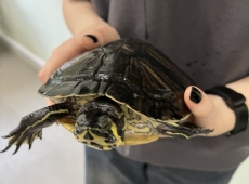 zajecia_biologiczne_027