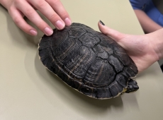 zajecia_biologiczne_028