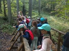 img_20200925_104105650