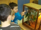 zywa-lekcja-przyrody-6