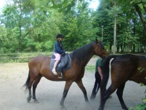 2007-2008 Zielona szkoła – Klewki