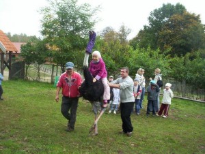 2007-2008 kl.I-III Strusiolandia