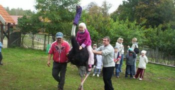 2007-2008 kl.I-III Strusiolandia