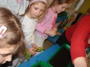 Kącik przyrody- marzec 2008