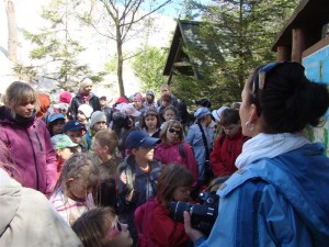 ZIELONA SZKOŁA 2009