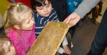 Żywa lekcja przyrody