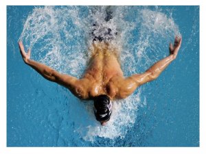 Zawody pływackie „101 Swimming Show”