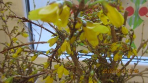 Jak powstawały Marzanny?