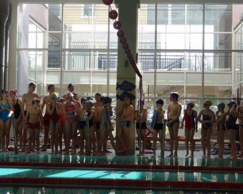 Swimming Show 2013 Swimming Show 2013