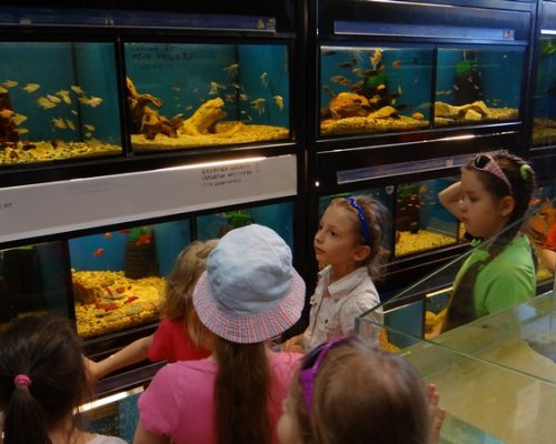 Sklep zoologiczny Sklep zoologiczny