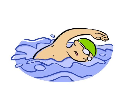 STOJEDYNKA PŁYWA STOJEDYNKA PŁYWA