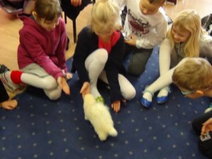 Jak dbać o domowe zwierzęta – pogadanka