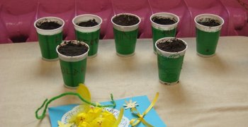 Przedświateczny kącik przyrody- owies