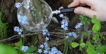 Lekcje z natury- Mikrokosmos