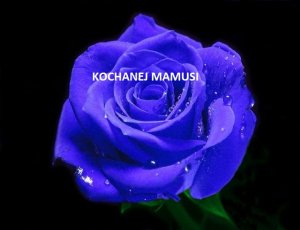 Jak zaskoczyć moją Mamusię z okazji Jej święta?