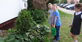 Nasturcja przed klasą “0”