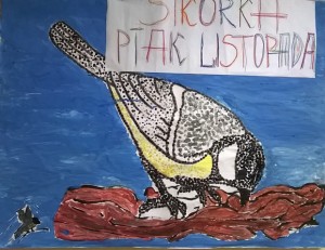 Ptaki listopada- sikorki