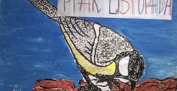 Ptaki listopada- sikorki