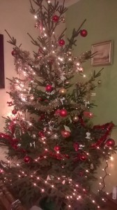 Świąteczny konkurs Wiktorii i Małgosi 2014