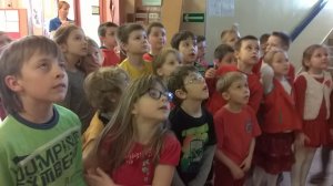 Walentynki z ptakami