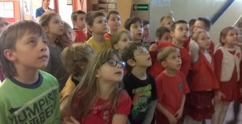 Walentynki z ptakami