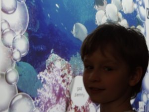 Odnawialne źródła energii