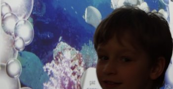 Odnawialne źródła energii